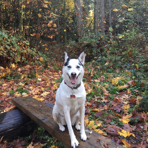 🚀☀️💝Meet your Posher, Patricia💝☀️🚀 - Picture 2 of 9